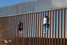 Understanding the Impact of Border Walls on Illegal Immigration