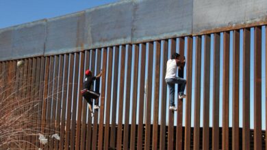 Understanding the Impact of Border Walls on Illegal Immigration